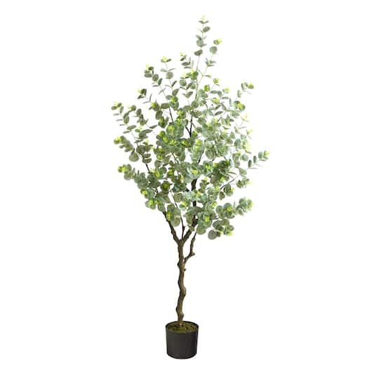 4.5ft. Potted Eucalyptus Tree